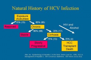 BBP HCV